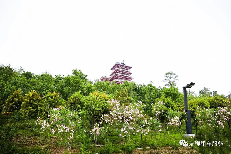 微信图片_20240905161751.jpg
